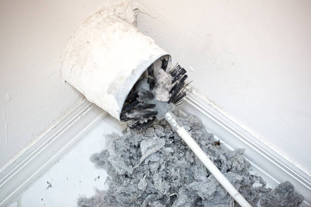 Best Air Duct Mold Removal  in Malabar, FL